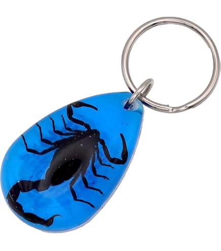 Amazon.co.jp: クワガタ 標本 キーホルダー 2個セット レジン 昆虫